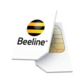 Beeline - Ведущий оператор связи, предоставляющий надежные услуги связи и широкий выбор тарифных планов
